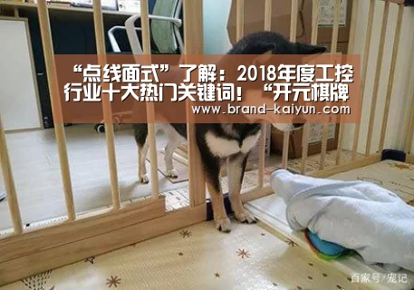 “点线面式”了解:2018年度工控行业十大热门关键词!“开元棋牌官方下载”(图2) 开元棋牌电脑版