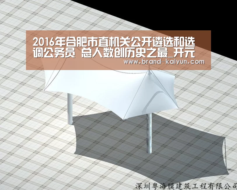 2016年合肥市直机关公开遴选和选调公务员 总人数创历史之最_开元棋牌电脑版(图2) 开元棋牌电脑版