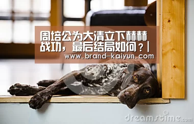 周培公为大清立下赫赫战功,最后结局如何?|KY(图3) 开元棋牌官方下载