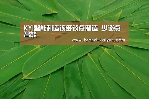KY|智能制造该多谈点制造 少谈点智能(图2) 开元棋牌官方下载