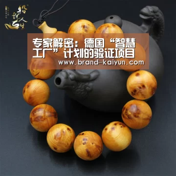 专家解密:德国“智慧工厂”计划的验证项目(图)-开元棋牌app(图2) 开元棋牌app