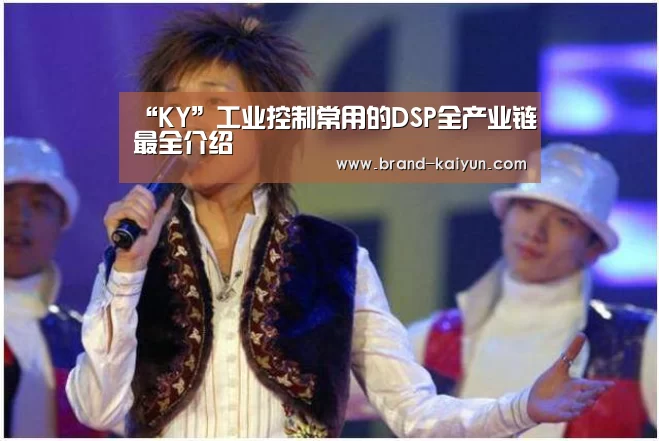 “KY”工业控制常用的DSP全产业链最全介绍(图1) 开元棋牌电脑版